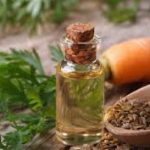 Ajwain oil