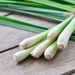 Fresh lemongrass on wooden texture in cooking concept.